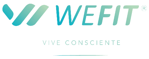 logoWefit1